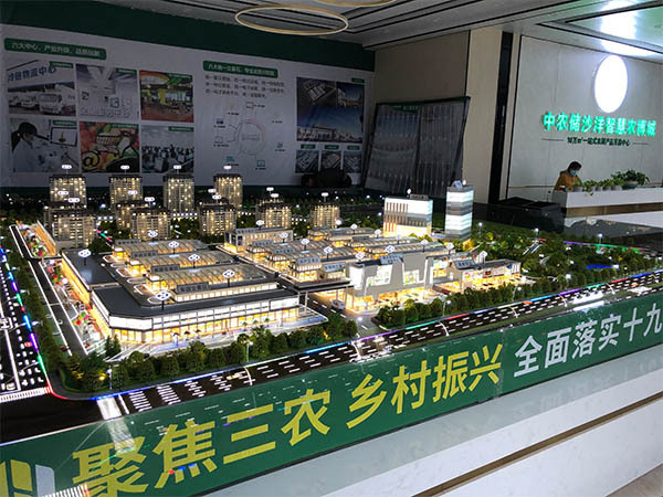 中農儲沙洋智慧農博城