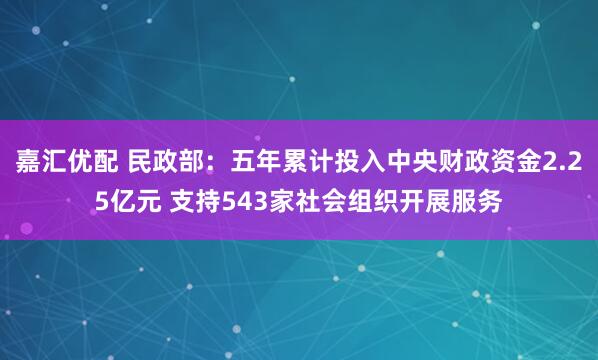 嘉汇优配 民政部:五年累计投入中央财政资金2.25亿元 支持543家社会组织开展服务