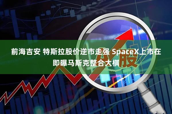 前海吉安 特斯拉股价逆市走强 SpaceX上市在即曝马斯克整合大棋