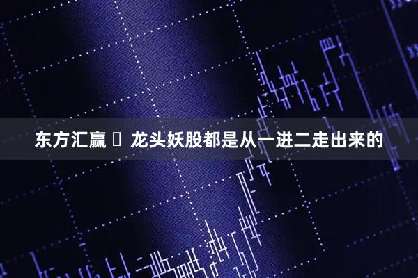 东方汇赢 ​龙头妖股都是从一进二走出来的